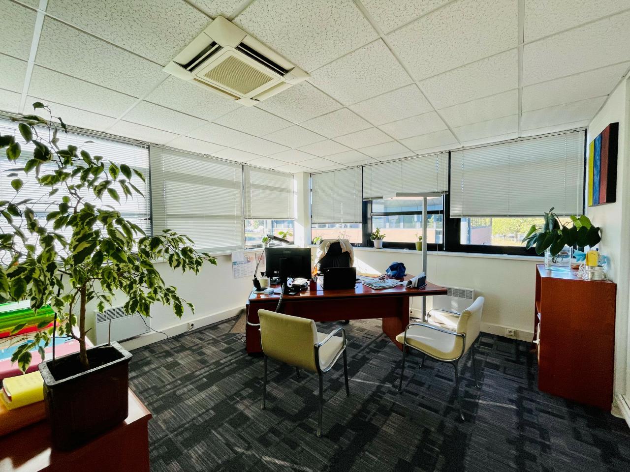 Bureau Oberhausbergen 300m² Vente bureau Oberhausbergen Bas-Rhin OVBUR2425255 3